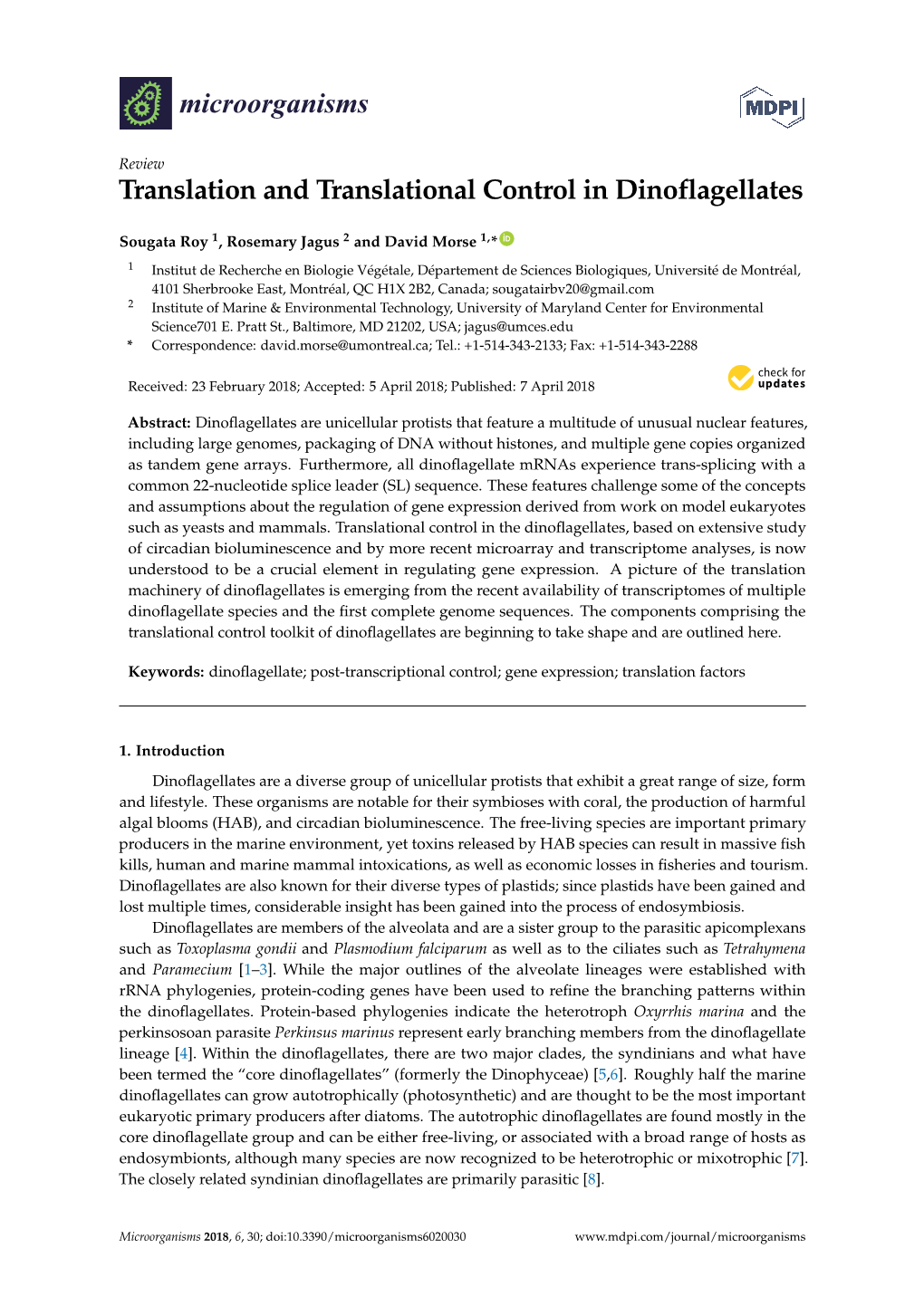 Translation and Translational Control in Dinoflagellates