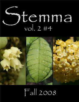 Pterostelma Albiflorum (Hoya Albiflora Zipp. Ex. Blume)