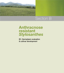 Section B Anthracnose Resistant Stylosanthes