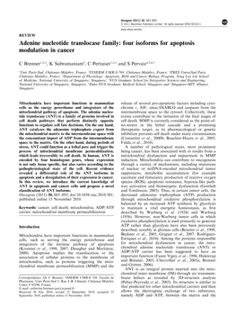 Adenine Nucleotide Translocase Family: Four Isoforms for Apoptosis Modulation in Cancer