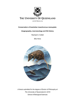 Conservation of Australian Insectivorous Marsupials