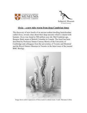 Oesia – a New Tube Worm from Deep Cambrian Times