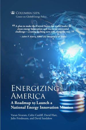 Energizing America a Roadmap to Launch a National Energy Innovation Mission