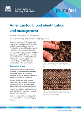 American Foulbrood Identification and Management