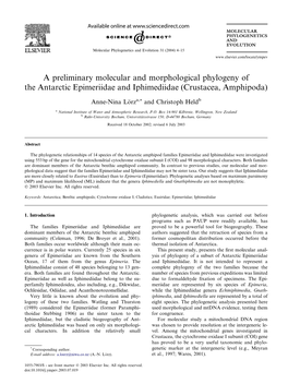 A Preliminary Molecular and Morphological Phylogeny of the Antarctic Epimeriidae and Iphimediidae (Crustacea, Amphipoda)