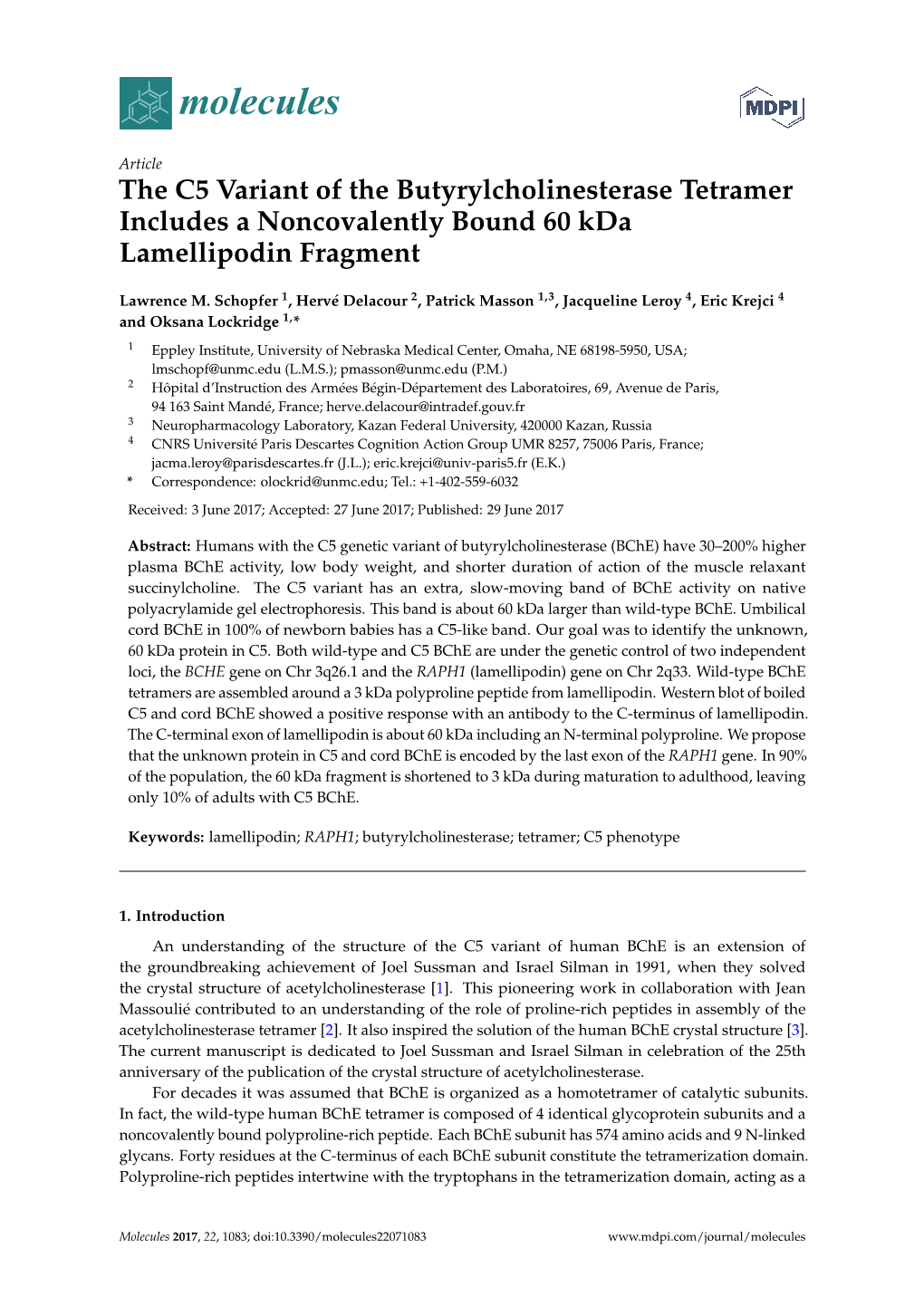 The C5 Variant of the Butyrylcholinesterase Tetramer Includes a Noncovalently Bound 60 Kda Lamellipodin Fragment