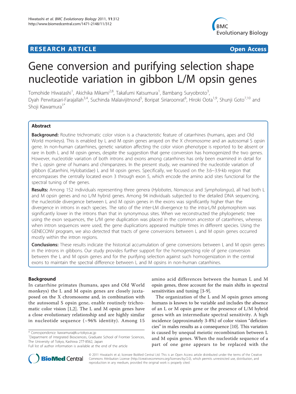 Gene Conversion and Purifying Selection Shape Nucleotide