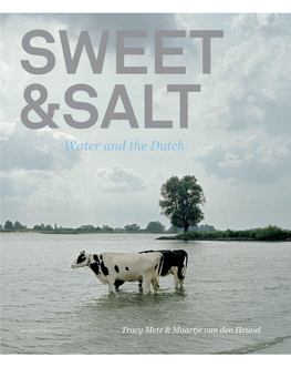 Water and the Dutch
