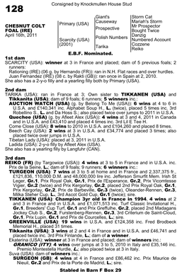 Consigned by Knockmullen House Stud Giant's Causeway Storm Cat Mariah's Storm Primary