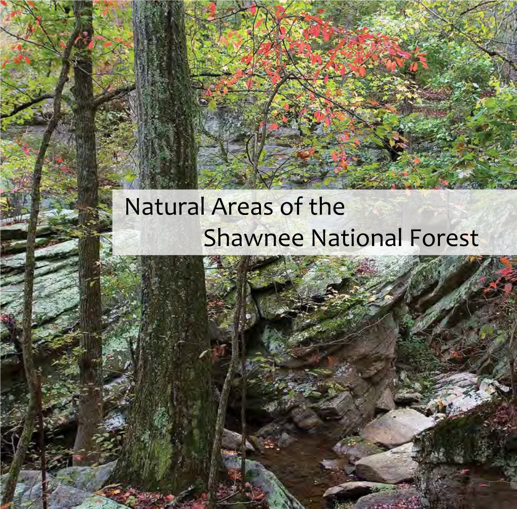 Natural Areas of the Shawnee National Forest
