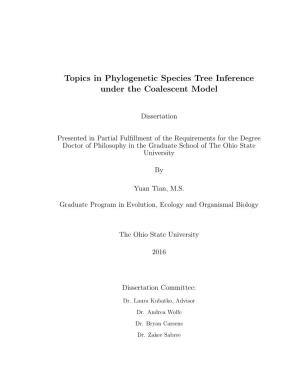 Topics in Phylogenetic Species Tree Inference Under the Coalescent Model