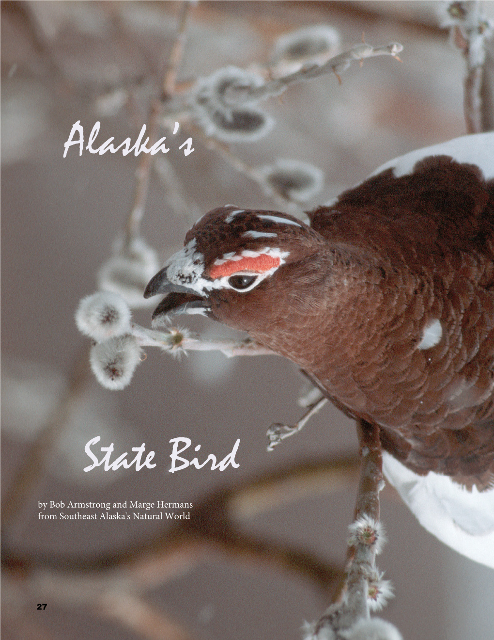 Alaska's State Bird (Willow Ptarmigan)