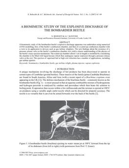 A Biomimetic Study of the Explosive Discharge of the Bombardier Beetle