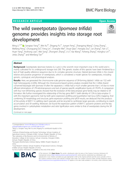 The Wild Sweetpotato (Ipomoea Trifida)