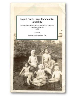 Mount Pearl Oral History Project: a Collection of Personal Experience Narratives 1St