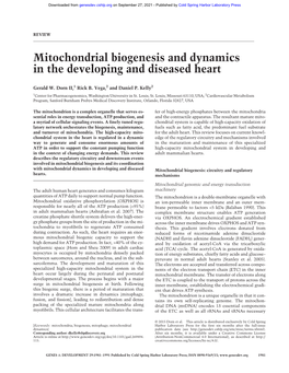 Mitochondrial Biogenesis and Dynamics in the Developing and Diseased Heart