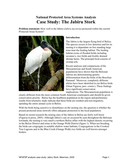 Case Study: the Jabiru Stork