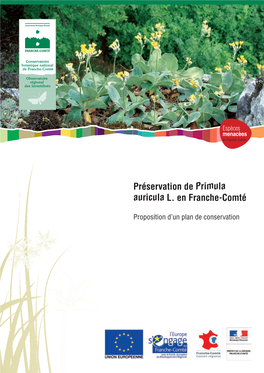 Préservation De Primula Auricula L. En Franche-Comté