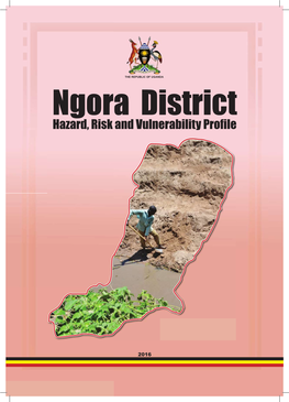 Ngora District HRV Profile.Indd