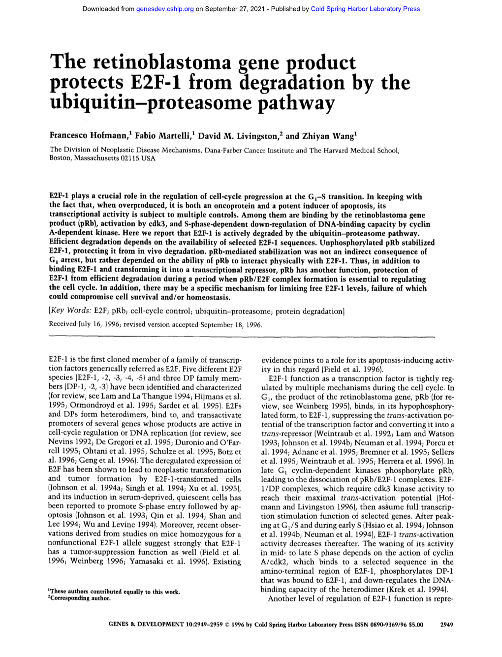 The Retinoblastoma Gene Product Protects E2F-1 from Degradation by the Ubiquitin-Proteasome Pathway