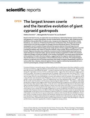 The Largest Known Cowrie and the Iterative Evolution of Giant Cypraeid Gastropods Stefano Dominici1*, Mariagabriella Fornasiero2 & Luca Giusberti3