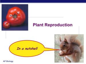 Plant Reproduction