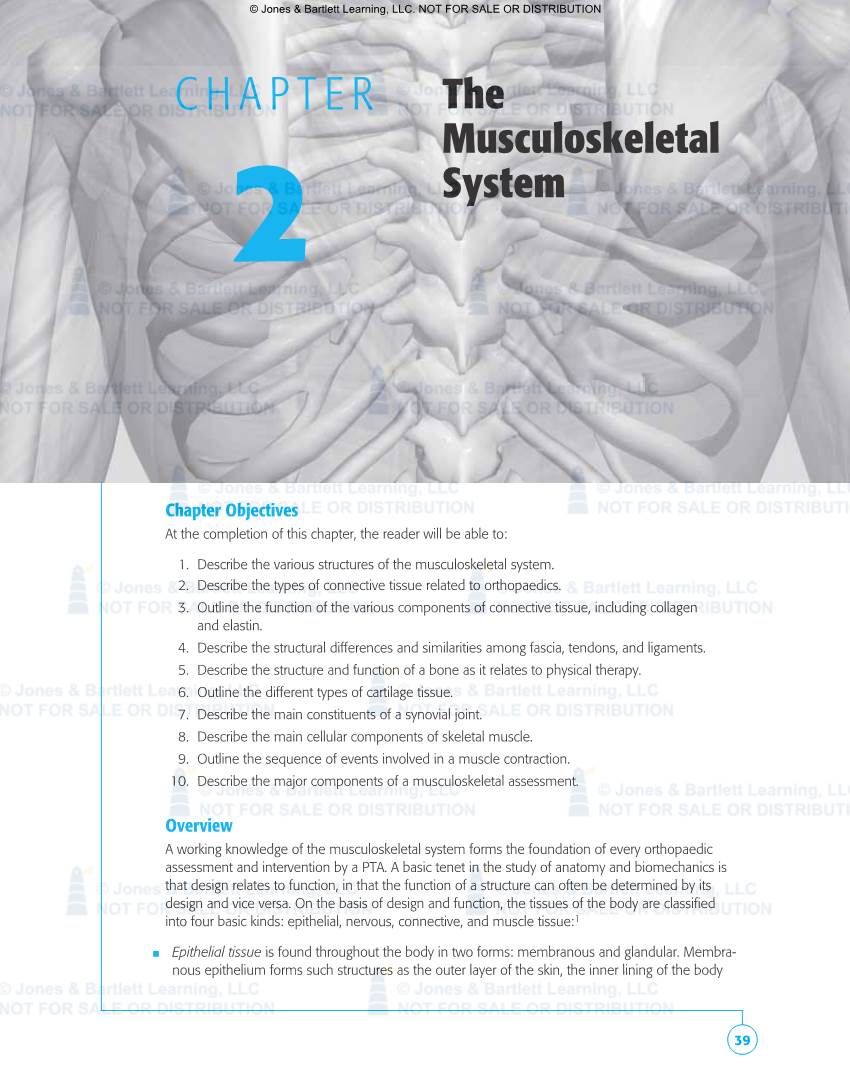 CHAPTER the Musculoskeletal 2 System