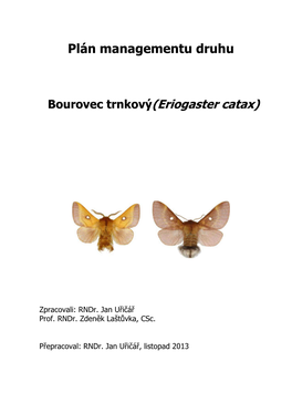Bourovec Trnkový (Eriogaster Catax)