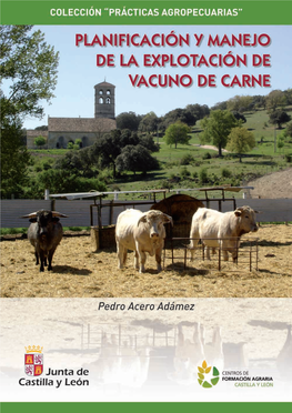 Planificación Y Manejo De La Explotación De Vacuno De Carne
