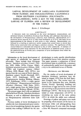 Larval Development of &lt;I&gt;Sabellaria Floridensis&lt;/I&gt; from Florida and &lt;I&gt;Phragmatopoma Californica&lt;/I&gt; Fr
