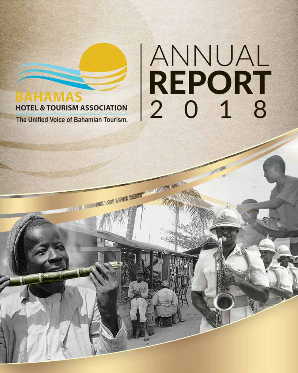 2018 Annual Report 3 BHTA and VAT