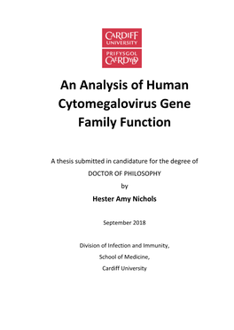 An Analysis of Human Cytomegalovirus Gene Family Function