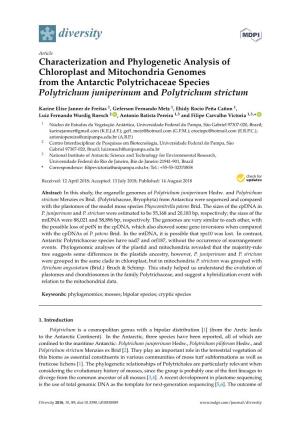 Characterization and Phylogenetic Analysis of Chloroplast And