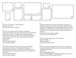 Case Labels for Introducing Tony Conrad