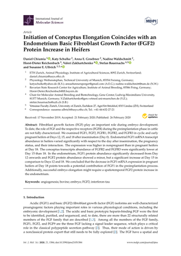 Initiation of Conceptus Elongation Coincides with an Endometrium Basic Fibroblast Growth Factor (FGF2) Protein Increase in Heifers