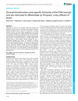 Drosophila Astrocytes Cover Specific Territories of the CNS Neuropil and Are Instructed to Differentiate by Prospero, a Key Effe