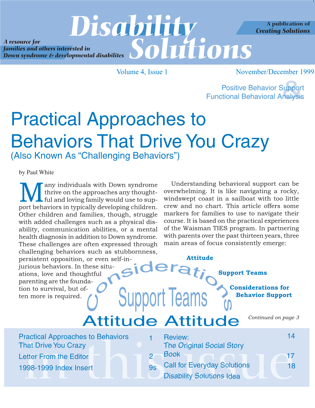 Practical Approaches to Behaviors That Drive You Crazy (Also Known As “Challenging Behaviors”)