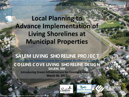 Living Shorelines at Municipal Properties