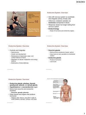 Human Anatomy & Physiology the Endocrine System: Part A