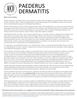 Paederus Dermatitis