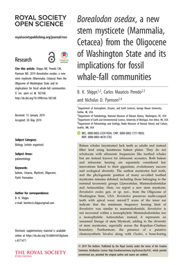 Borealodon Osedax, a New Stem Mysticete (Mammalia, Royalsocietypublishing.Org/Journal/Rsos Cetacea) from the Oligocene of Washington State and Its Research