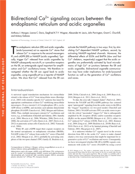 Bidirectional Ca2+ Signaling Occurs Between the Endoplasmic Reticulum and Acidic Organelles