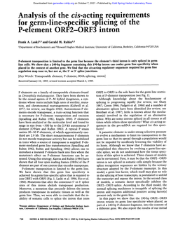 Analysis of the Cis-Acting Requirements for Germ-Line-Specific Spllcing of the P-Element ORF2-ORF3 Intron