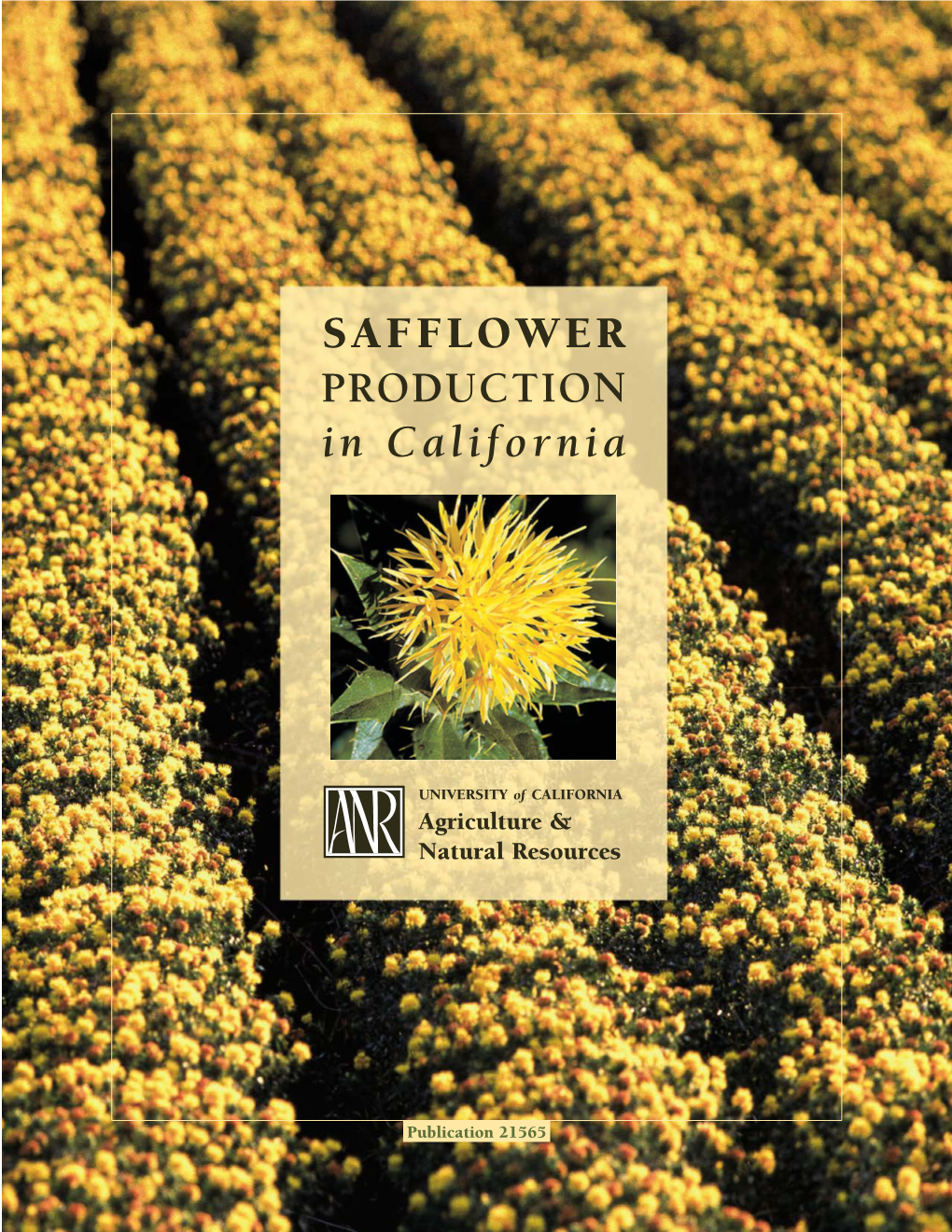 Safflower in California (University of California Division of Agricultural Sciences Circular 532, 1965)