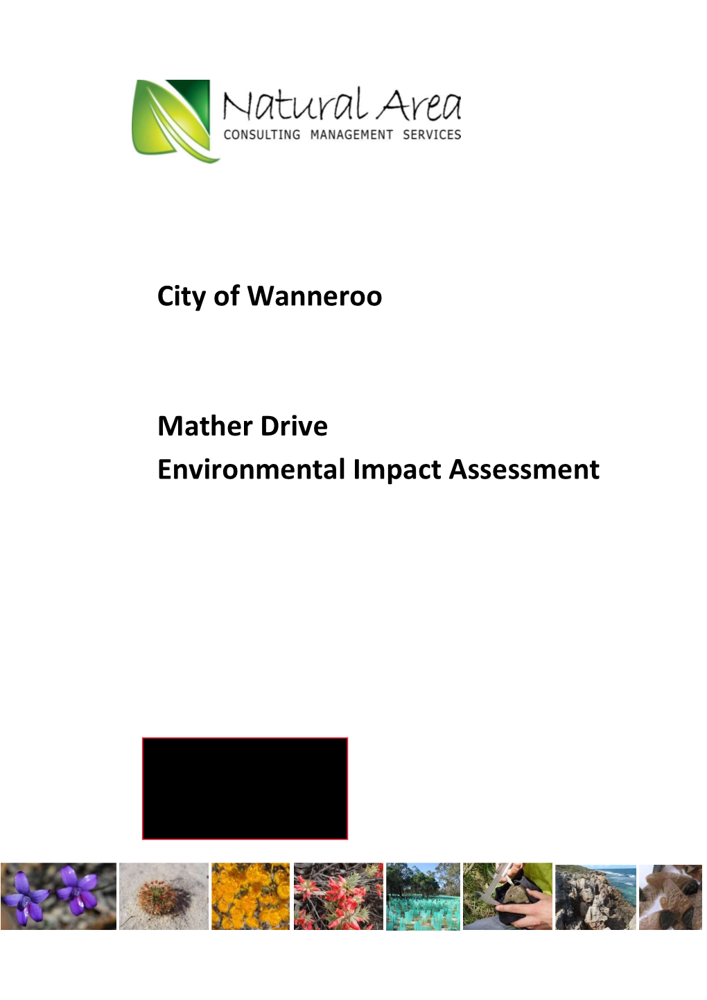 Environmental Impact Assessment.PDF