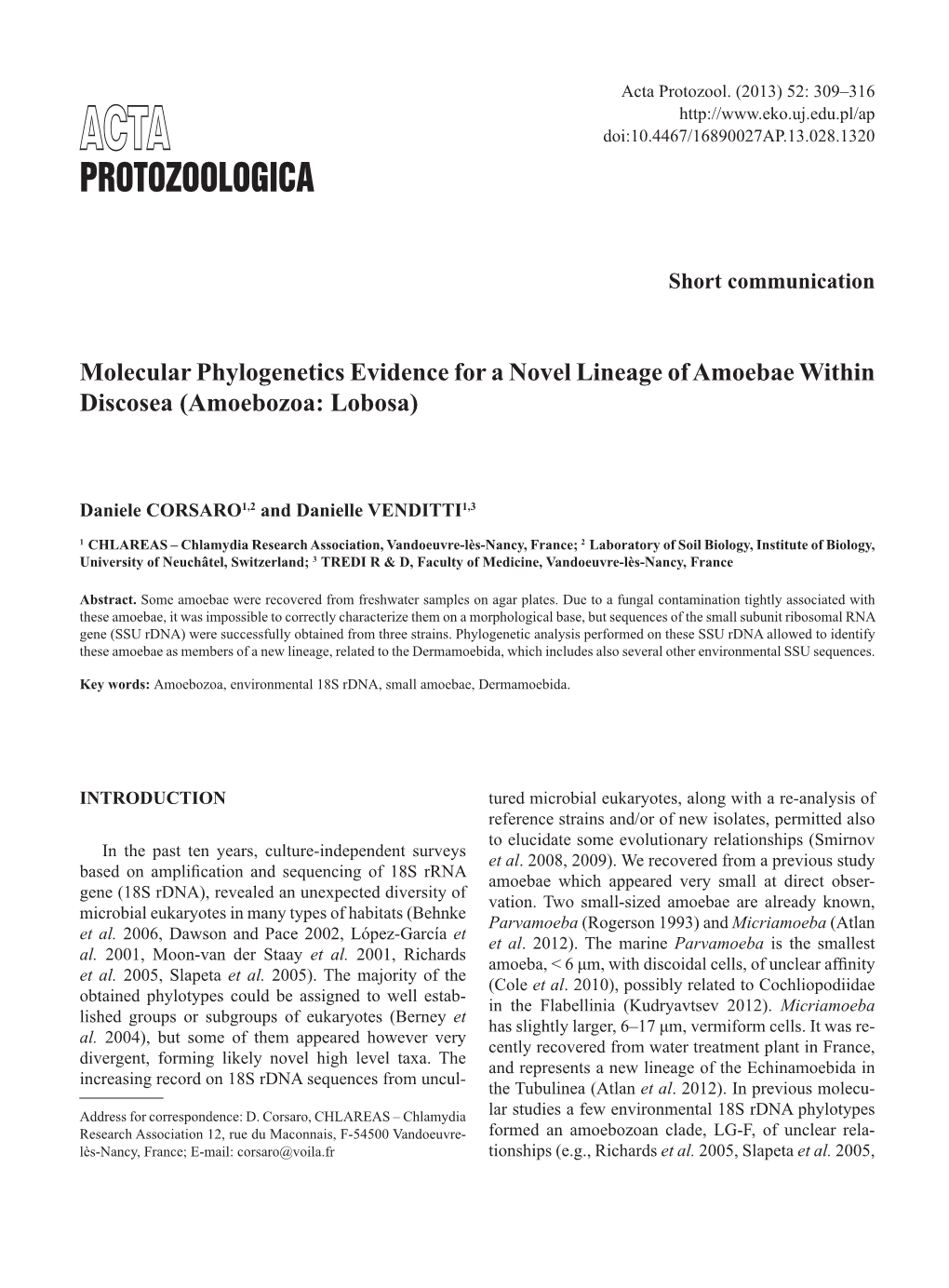 Molecular Phylogenetics Evidence for a Novel Lineage of Amoebae Within Discosea (Amoebozoa: Lobosa)