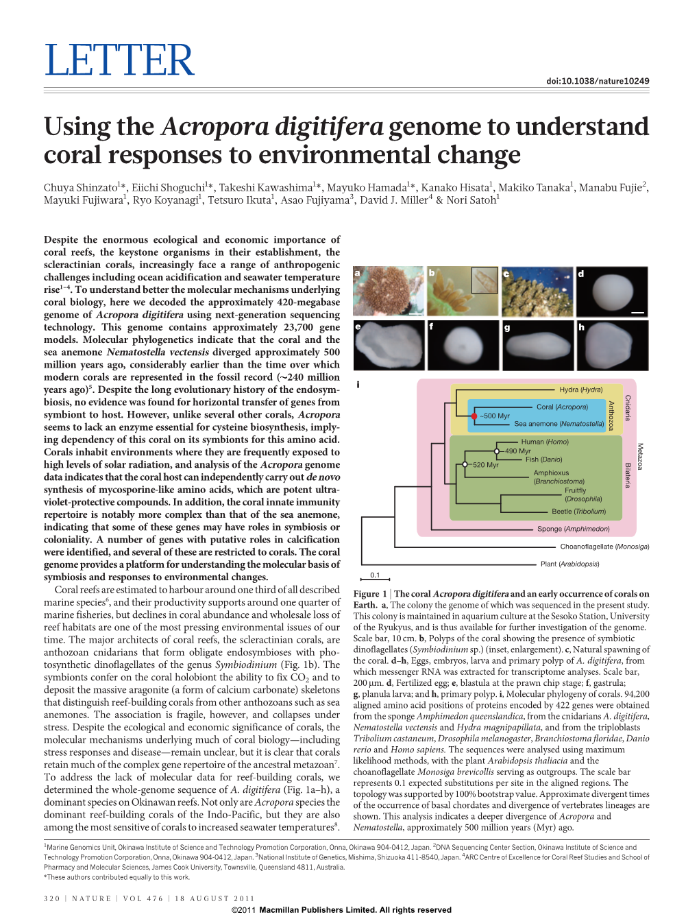 Using the Acropora Digitifera Genome to Understand Coral Responses to Environmental Change