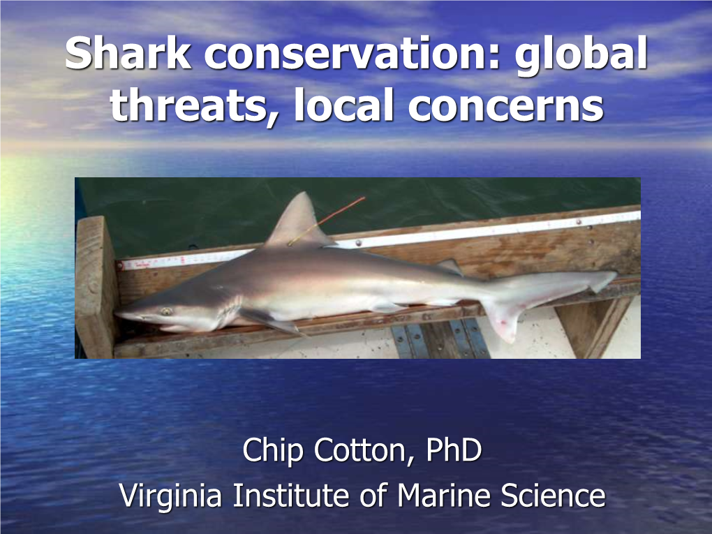 Shark Conservation: Global Threats, Local Concerns