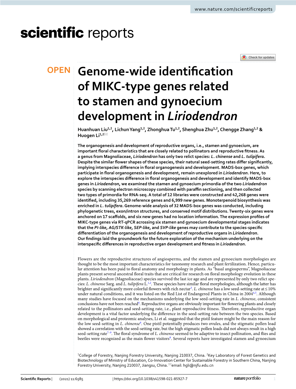 Genome-Wide Identification of MIKC-Type Genes Related to Stamen and Gynoecium Development in Liriodendron