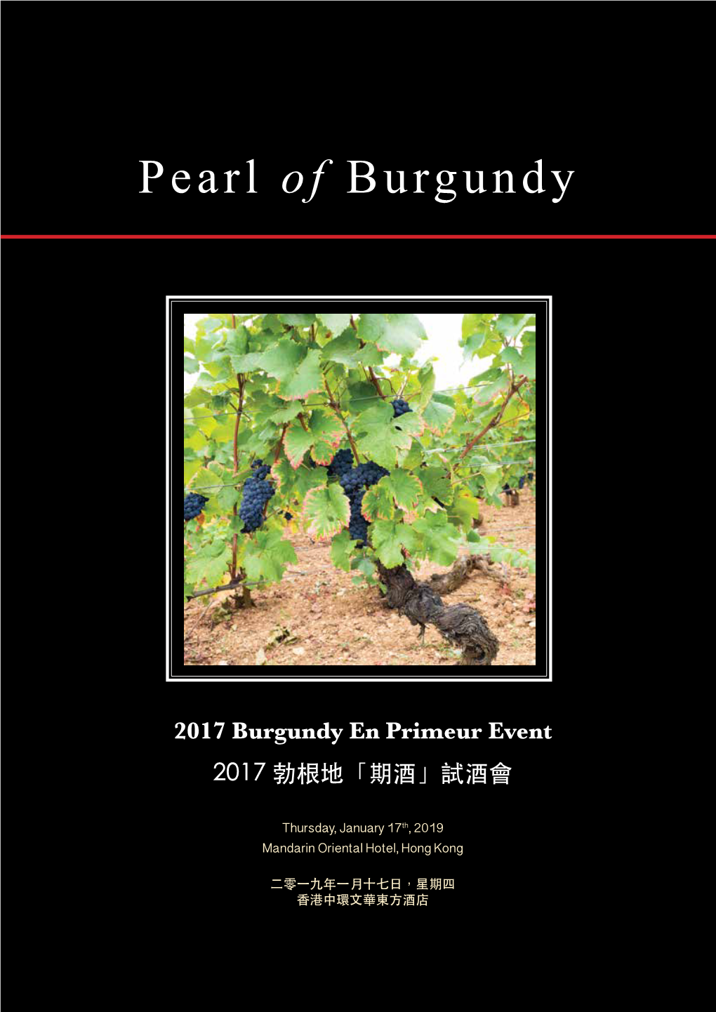 Domaine De Montille 31 • Domaine Launay Horiot 33 Spain: • Domaine Michelot 34 • Domaine Jean-Claude Bachelet 35 • Rafael Palacios 56 • Domaine Heitz-Lochardet 36